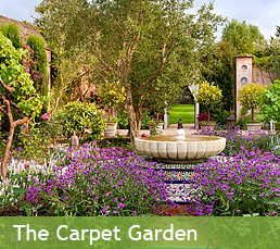 The Carpet Garden